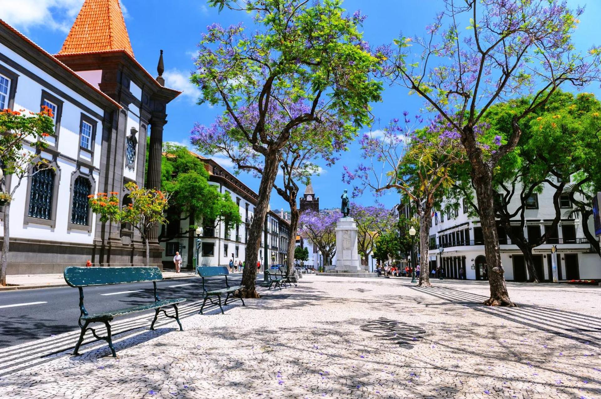 Stylish Apartment With Balcony And Amazing Views Over Funchal And The Sea Bagian luar foto